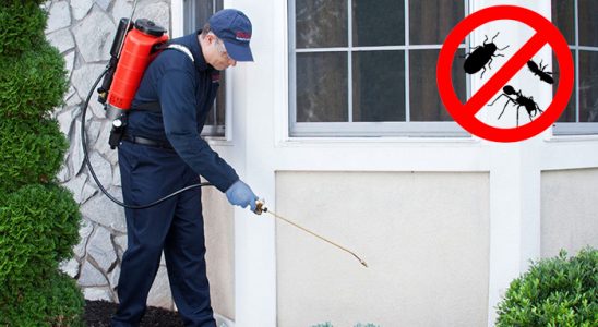 Sarıçam Böcek ve Haşere İlaçlama böcek ilaçlama ve haşere kontrolü — ilaclama-tr.com
